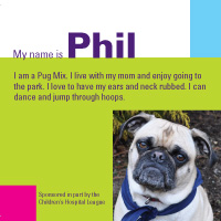 Phil the Pug Card