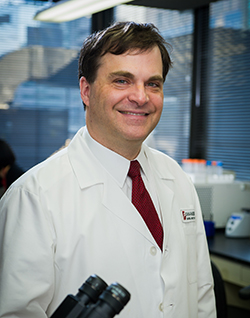 Dr Stephen Hodi, director of the Melanoma Center at Dana-Farber Cancer Institute