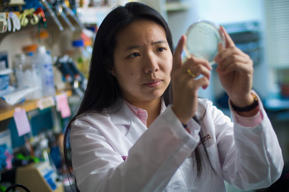 Joyce Liu, MD, in her lab