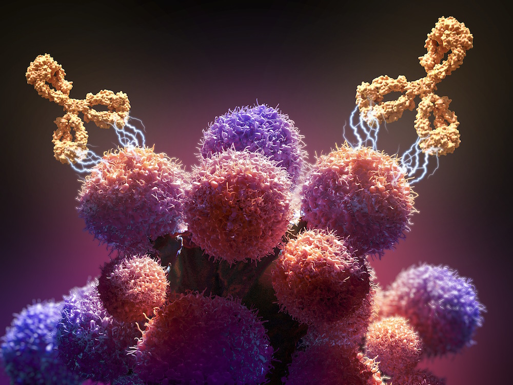 An illustration of a monoclonal antibody drug — a type of immunotherapy — attacking cancer cells.