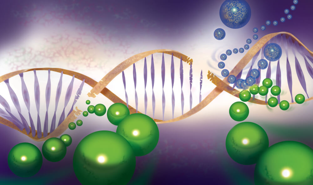 An illustration of damaged DNA.