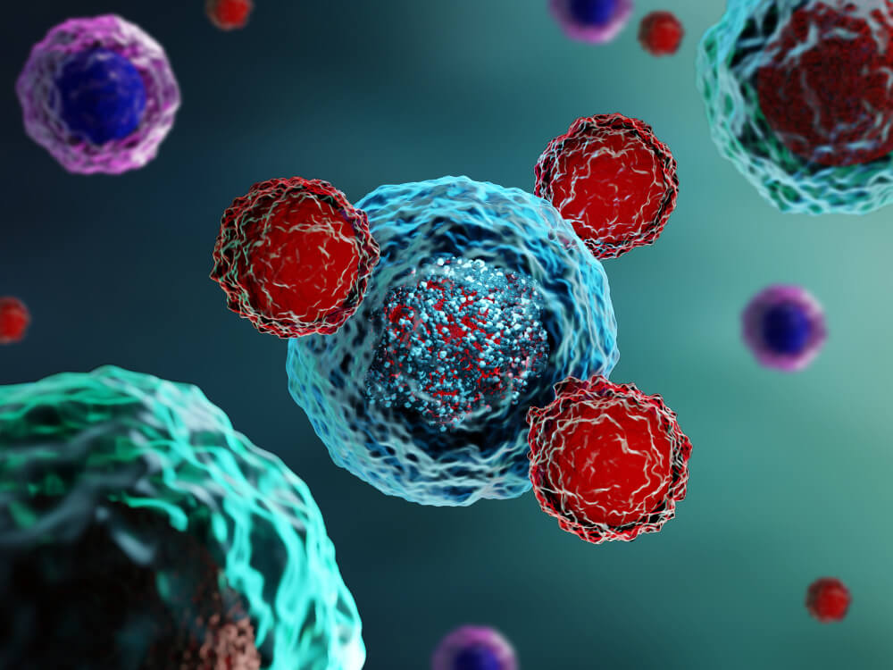 Immunotherapy in action: an illustration of T cells attacking cancer cells. 