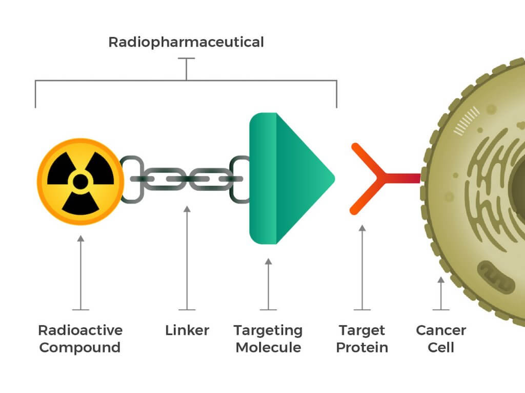 Radiopharmaceuticals consist of a radioactive molecule, a targeting molecule, and a linker that joins the two.