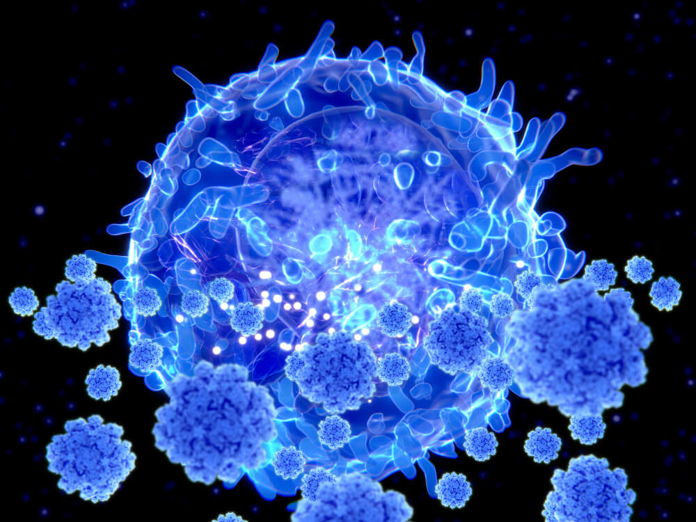 T cells protect the body from foreign invaders like bacteria and viruses and from rogue actors like cancer cells.