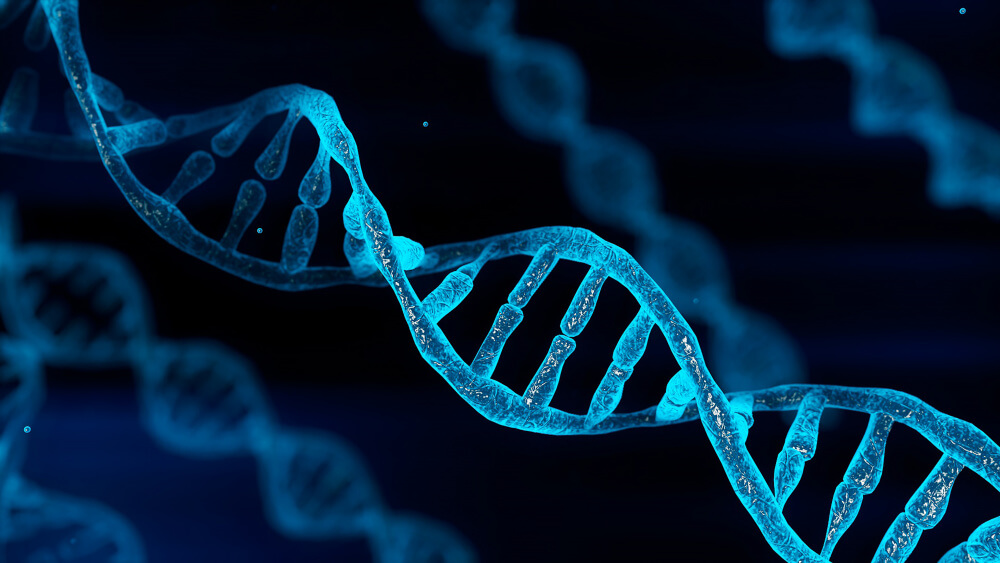 An illustration shows the DNA double helix that makes up chromosomes. Most cases of Ewing sarcoma seem to occur randomly, with a genetic change involving the swapping of pieces of chromosome 11 and 22, which turns on a gene that is normally silent. When this gene is activated, cells grow out of control and form tumors. Dana-Farber researchers studied the results of germline genetic DNA sequencing to see gene variants that might be associated with cancer risk.