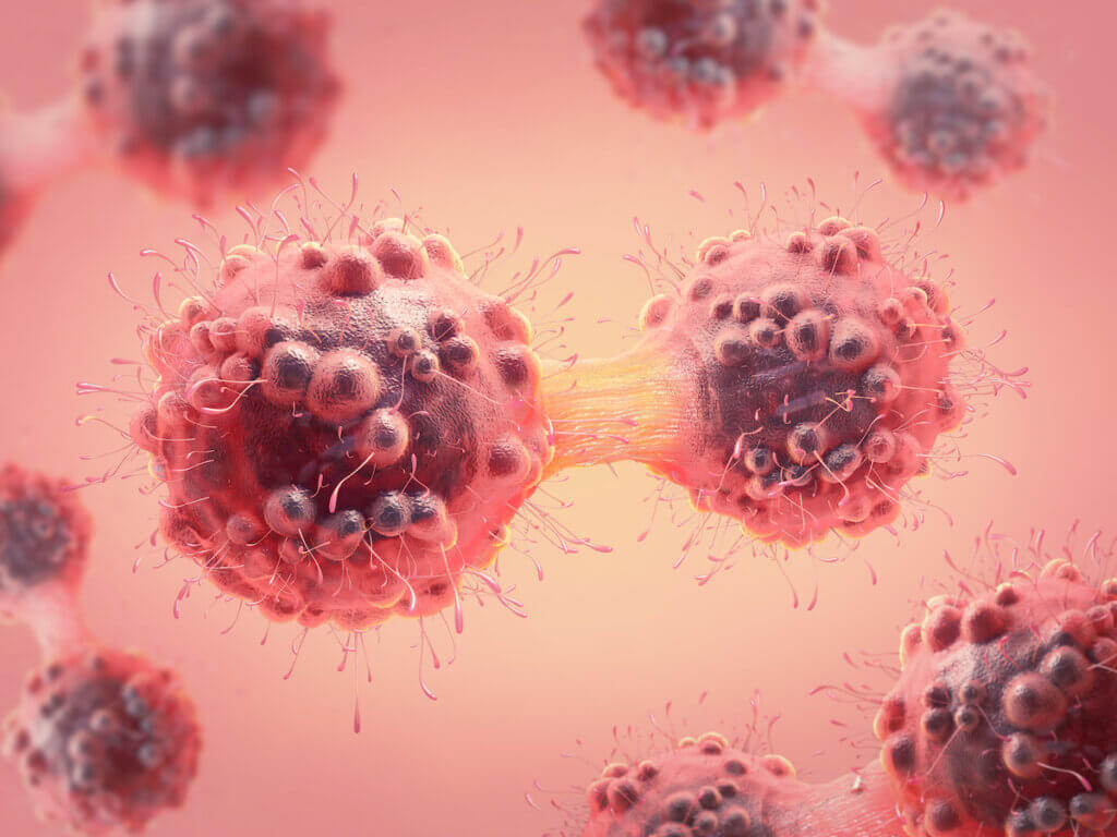 A 3D illustration of a cancer cell in the process of mitosis. Lactate, previously thought to be a passive by-product of energy consumption in cancer cells, was found to have an active role in promoting mitosis in cancer cell division.