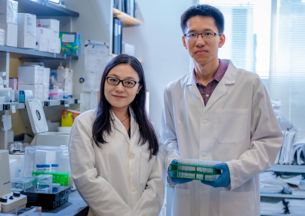 Vivian Qiu, PhD, and Xianli Shen, PhD, two Dana-Farber researchers who contributed to a study that uncovered the role of brain cells called microglial cells in Alzheimer's disease. 
