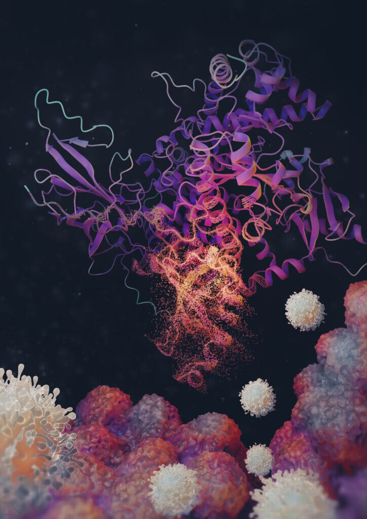 An illustration of the PI3Kβ protein (shown in purple) targeted by a drug molecule. Photo Credit: Hassan Tahini from ScienceBrush