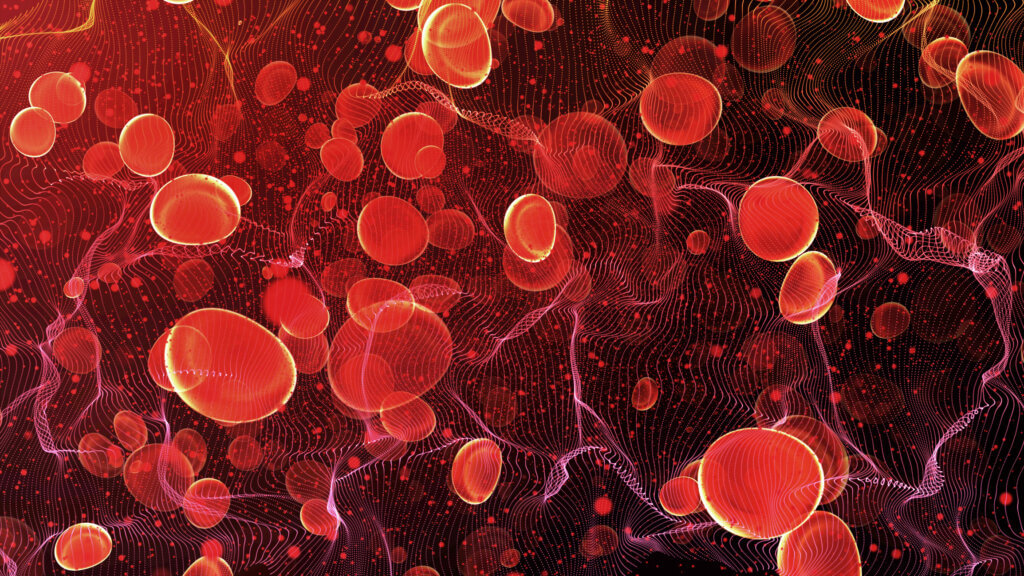 Red blood cells travel in an artery.